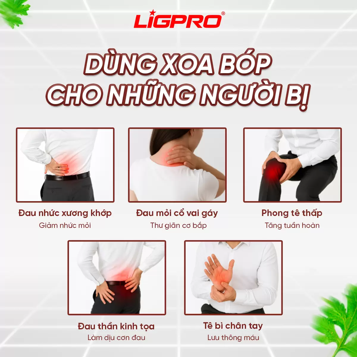 Con Lăn Massage Gừng Ngải Quế