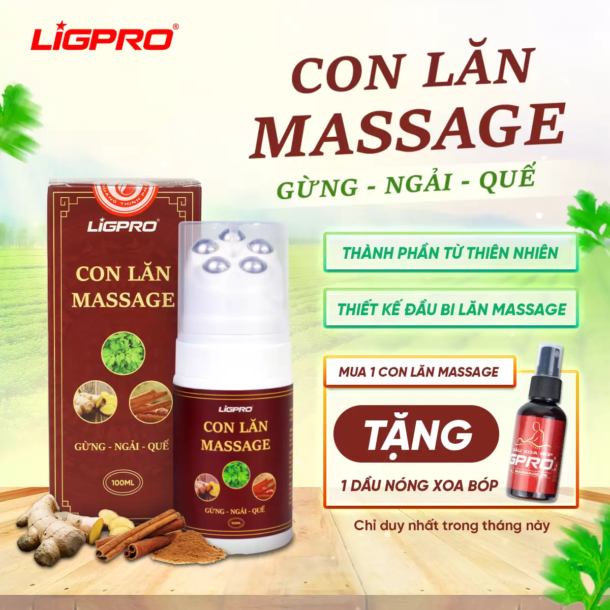 Con Lăn Massage Gừng Ngải Quế